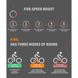 Aostirmotor-King-1000W-Fat-Tire-All-Terrain-Electric-Bike-fat-Aostirmotor-Ebikes-8- Infographic