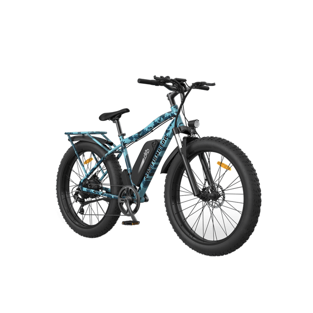 Fat mountain bike discount price