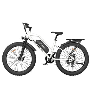 Aostirmotor S07-G 750W Fat Tire Electric Bike - Affordable Commuter