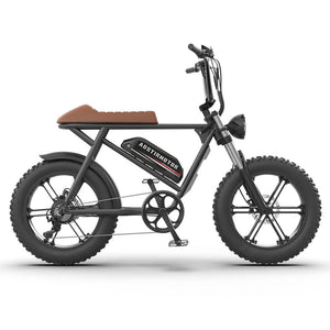 Aostirmotor-Storm-750W-Fat-Tire-Electric-Bike-fat-Aostirmotor-Ebikes-4
