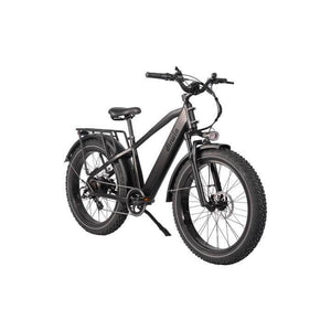 Dirwin Pioneer 750W Fat Tire Electric Bike with Twist Throttle Fat Dirwin Bike