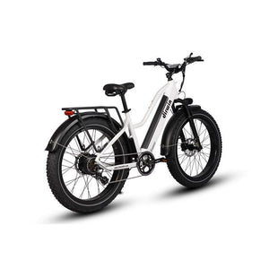 Dirwin-Pioneer-750W-Step-Thru-Fat-Tire-Electric-Bike-Step-Through-Dirwin-Bike-10