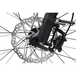Dirwin-Pioneer-750W-Step-Thru-Fat-Tire-Electric-Bike-Step-Through-Dirwin-Bike-12