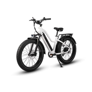 Dirwin-Pioneer-750W-Step-Thru-Fat-Tire-Electric-Bike-Step-Through-Dirwin-Bike-2
