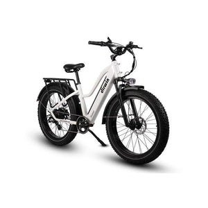 Dirwin-Pioneer-750W-Step-Thru-Fat-Tire-Electric-Bike-Step-Through-Dirwin-Bike-3