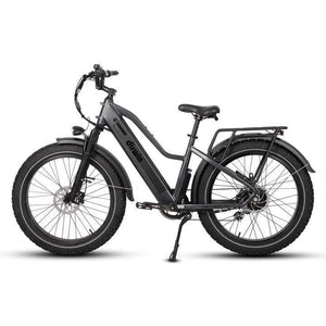 Dirwin-Pioneer-750W-Step-Thru-Fat-Tire-Electric-Bike-Step-Through-Dirwin-Bike-5