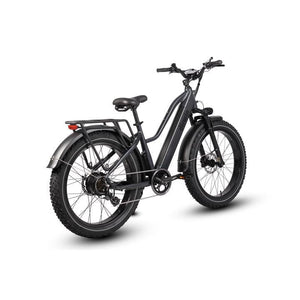 Dirwin-Pioneer-750W-Step-Thru-Fat-Tire-Electric-Bike-Step-Through-Dirwin-Bike-6