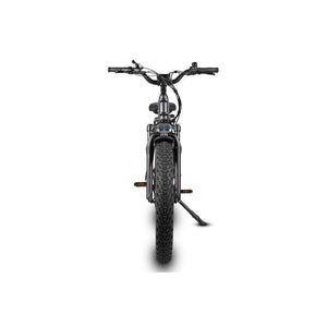 Dirwin-Pioneer-750W-Step-Thru-Fat-Tire-Electric-Bike-Step-Through-Dirwin-Bike-7