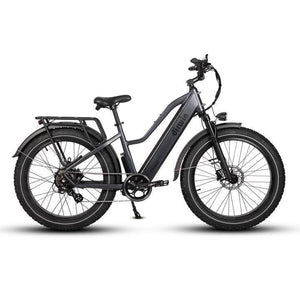 Dirwin-Pioneer-750W-Step-Thru-Fat-Tire-Electric-Bike-Step-Through-Dirwin-Bike-Gray-None-Just-The-Bike-8