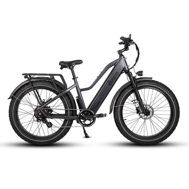 Dirwin-Pioneer-750W-Step-Thru-Fat-Tire-Electric-Bike-Step-Through-Dirwin-Bike-2