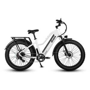 Dirwin-Pioneer-750W-Step-Thru-Fat-Tire-Electric-Bike-Step-Through-Dirwin-Bike-White-None-Just-The-Bike-4