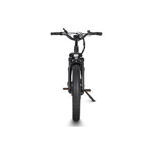 Dirwin-Seeker-750W-Fat-Tire-Electric-Bike-w-Twist-Throttle-fat-Dirwin-Bike-5