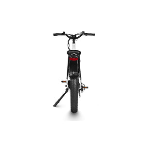 Dirwin-Seeker-750W-Step-Thru-Fat-Tire-Electric-Bike-w-Twist-Throttle-Step-Through-Dirwin-Bike-7