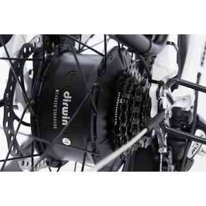 Dirwin-Seeker-750W-Step-Thru-Fat-Tire-Electric-Bike-w-Twist-Throttle-Step-Through-Dirwin-Bike-8