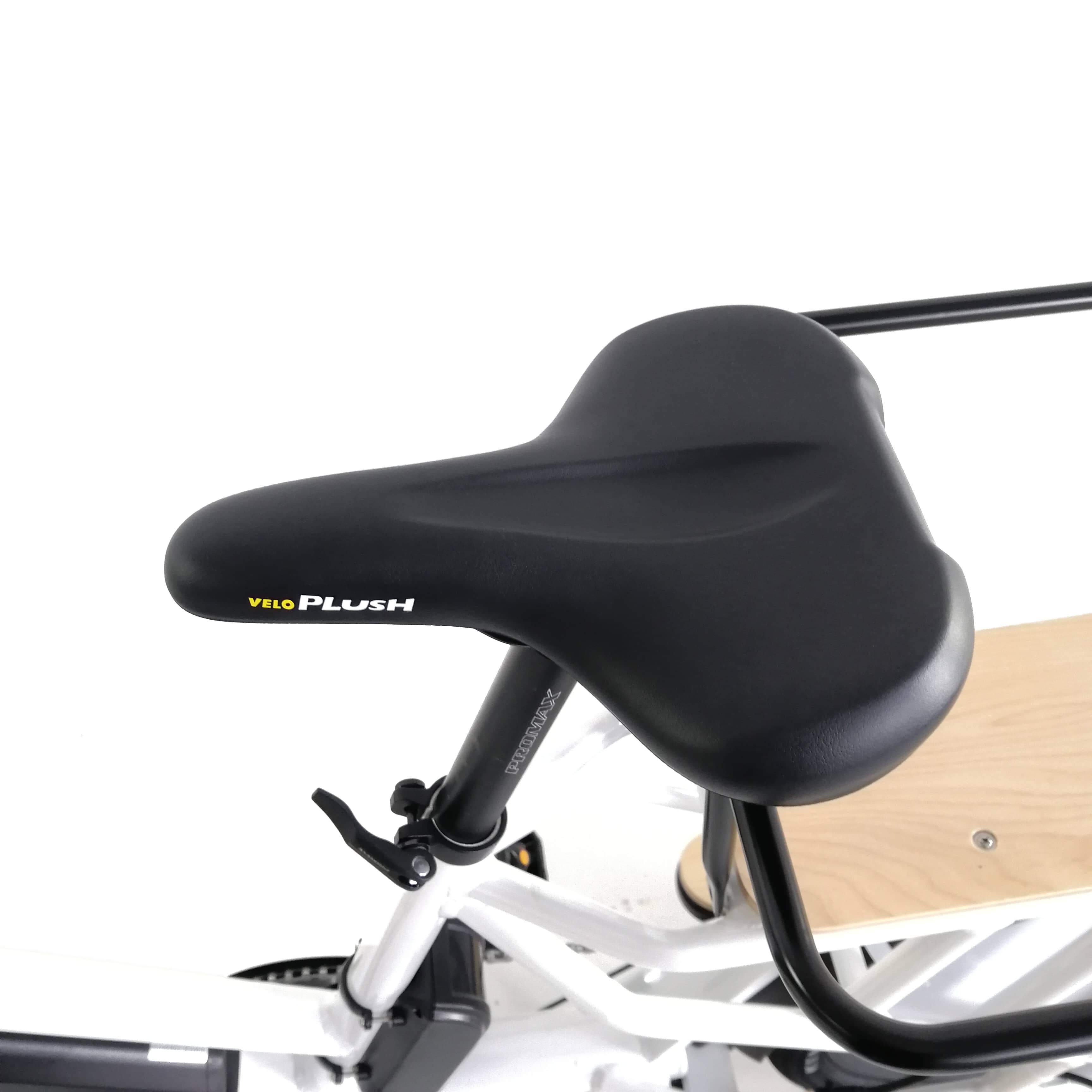 Eunorau Max-Cargo 750W Electric Cargo Bike-Cargo-Eunorau-Top View of Saddle