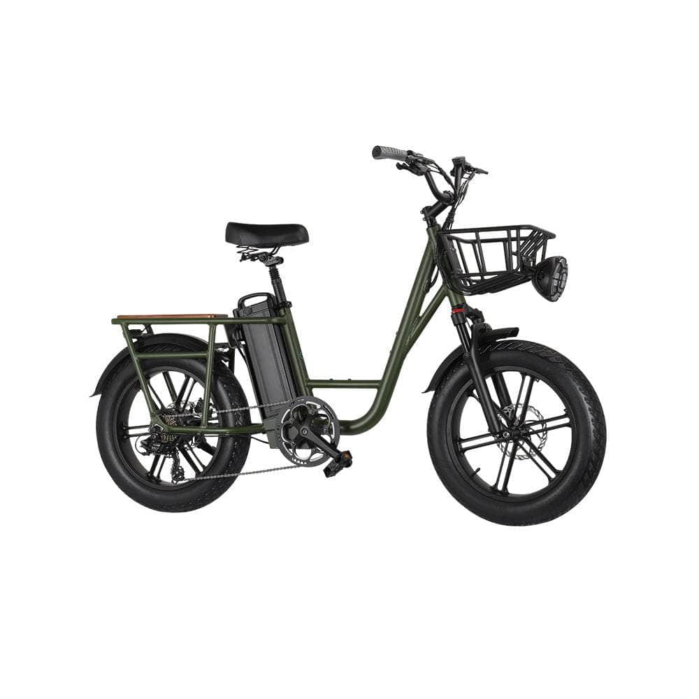 Fiido T1 Pro 750W Fat Tire Electric Cargo Bike w/ 48V/20Ah Battery