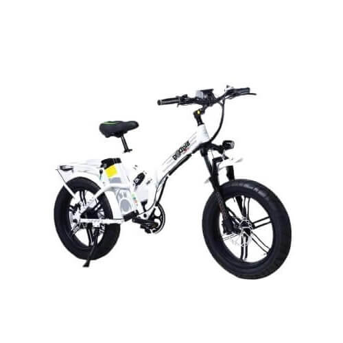 greenbike electric motion big dog off road