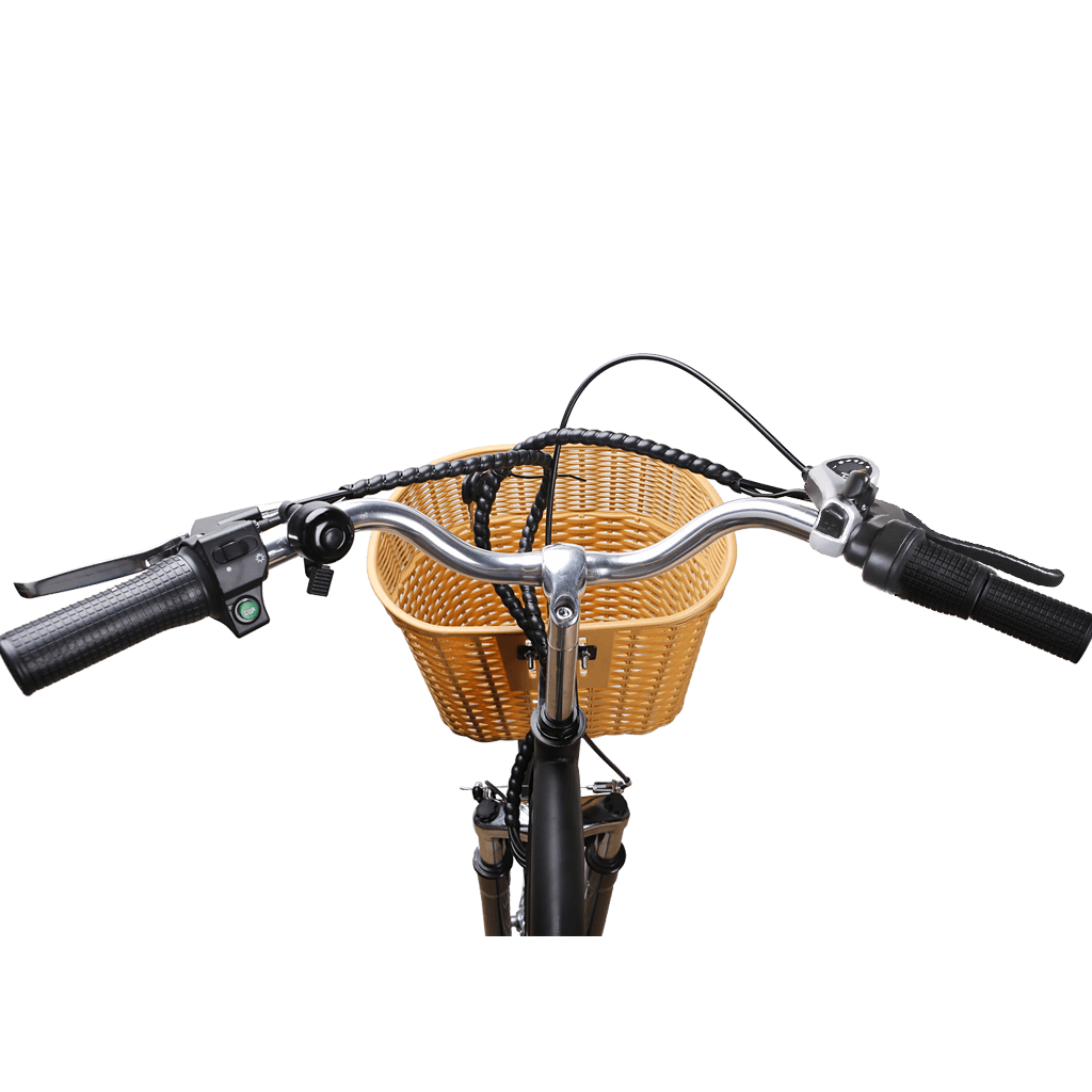 Nakto Camel 250W Step Thru Cruising Ebike w Twist Throttle Really Good Ebikes