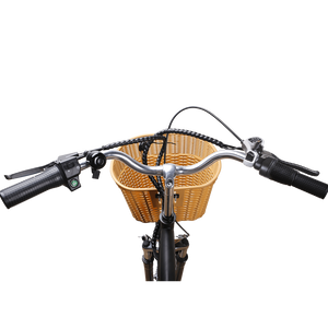 Nakto Camel Step-Thru Cruising Electric Bike-Step-Through-Nakto-Closeup of Handlebar Controls