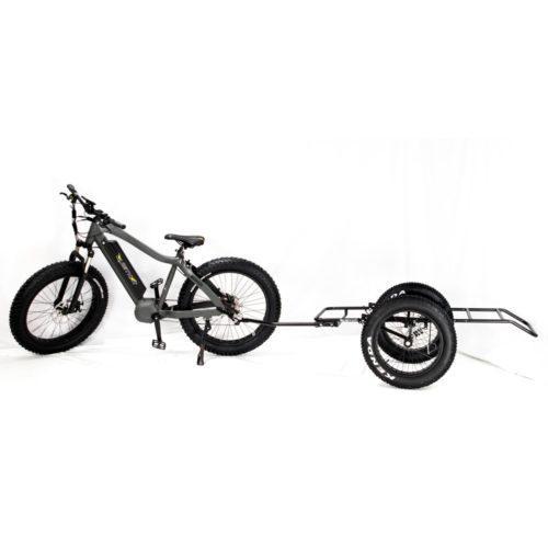 Quiet cat electric bike online