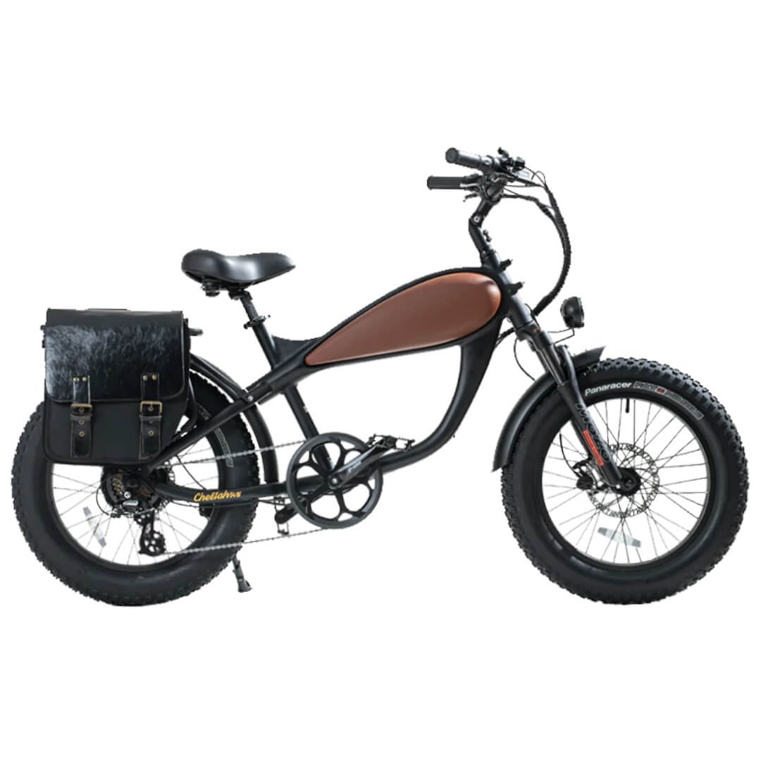 Bike + Rack + Black Pannier Bags (+$228)