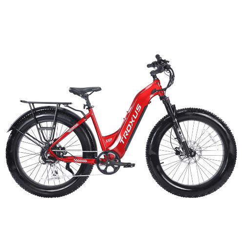 Troxus Explorer 750W Step Thru Fat Tire Cruising Electric Bike Really Good Ebikes