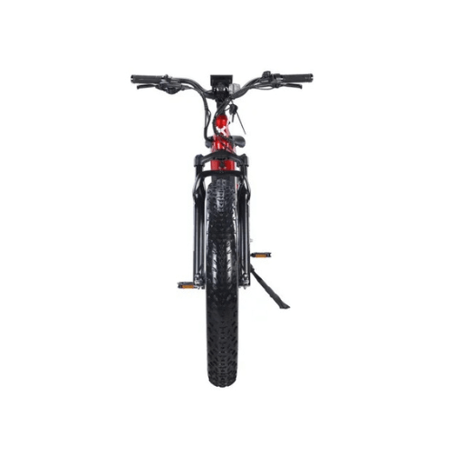 Bike for 2024 300 lb man