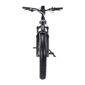 Troxus-Vulcanus-750W-Fat-Tire-Electric-back-Bike-fat-Troxus-Mobility-back-view